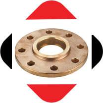 Cupro Nickel 70/30 Ring Type Joint Flanges