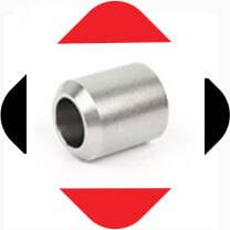 Stainless Steel Forged Welding Boss