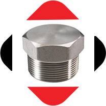 Stainless Steel Forged Plug